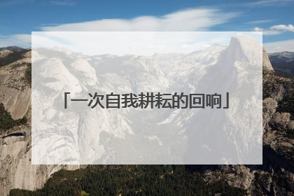 一次自我耕耘的回响