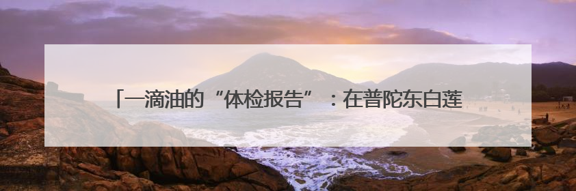 一滴油的“体检报告”：在普陀东白莲岛油品储运基地，记者化身油品化验员