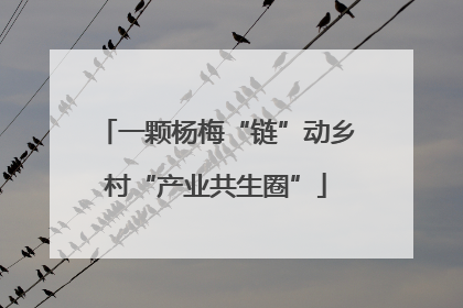 一颗杨梅“链”动乡村“产业共生圈”