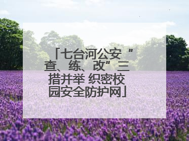 七台河公安“查、练、改”三措并举 织密校园安全防护网