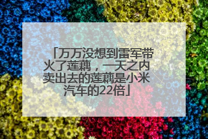 万万没想到雷军带火了莲藕，一天之内卖出去的莲藕是小米汽车的22倍