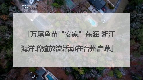万尾鱼苗“安家”东海 浙江海洋增殖放流活动在台州启幕