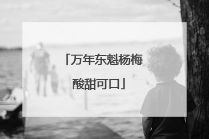 万年东魁杨梅 酸甜可口