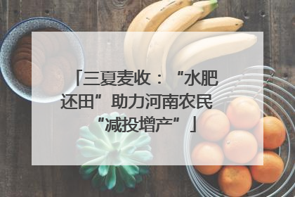 三夏麦收：“水肥还田”助力河南农民“减投增产”