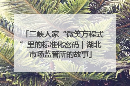 三峡人家“微笑方程式”里的标准化密码｜湖北市场监管所的故事