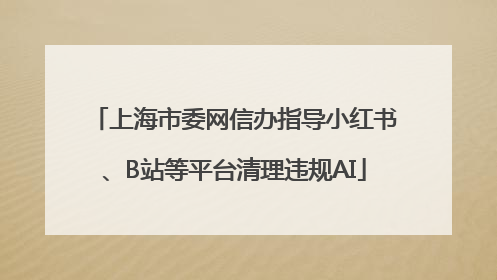 上海市委网信办指导小红书、B站等平台清理违规AI