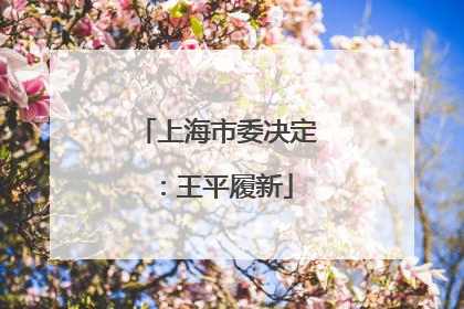 上海市委决定：王平履新
