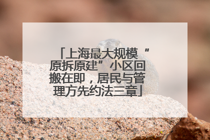 上海最大规模“原拆原建”小区回搬在即，居民与管理方先约法三章