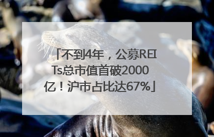 不到4年，公募REITs总市值首破2000亿！沪市占比达67%