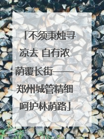 不须秉烛寻凉去 自有浓荫覆长街——郑州城管精细呵护林荫路