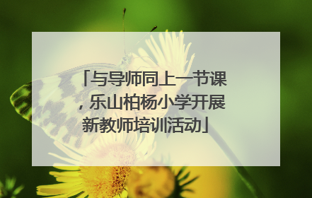 与导师同上一节课，乐山柏杨小学开展新教师培训活动