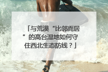 与荒漠“比邻而居”的高台湿地如何守住西北生态防线？