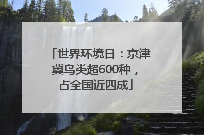 世界环境日：京津冀鸟类超600种，占全国近四成