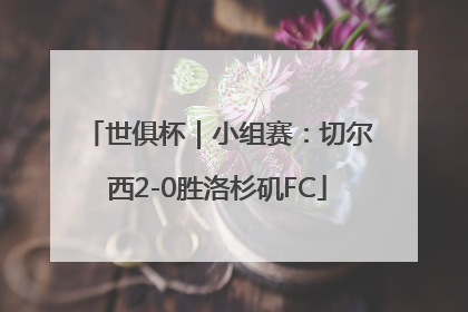 世俱杯｜小组赛：切尔西2-0胜洛杉矶FC