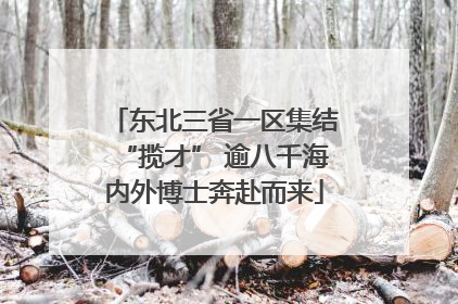 东北三省一区集结“揽才” 逾八千海内外博士奔赴而来