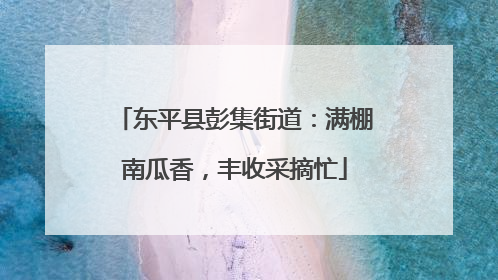 东平县彭集街道：满棚南瓜香，丰收采摘忙