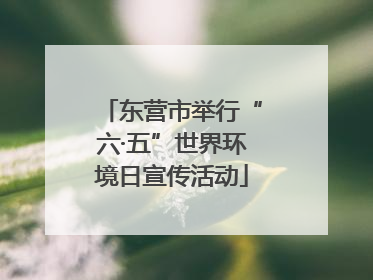 东营市举行“六·五”世界环境日宣传活动