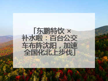 东鹏特饮 × 补水啦：百台公交车布阵沈阳，加速全国化北上步伐