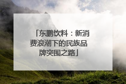 东鹏饮料：新消费浪潮下的民族品牌突围之路