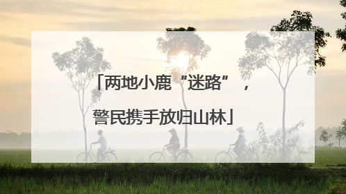 两地小鹿“迷路”，警民携手放归山林