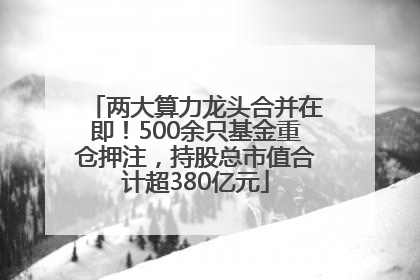两大算力龙头合并在即！500余只基金重仓押注，持股总市值合计超380亿元