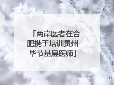两岸医者在合肥携手培训贵州毕节基层医师