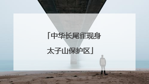 中华长尾雀现身太子山保护区