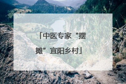 中医专家“摆摊”宜阳乡村