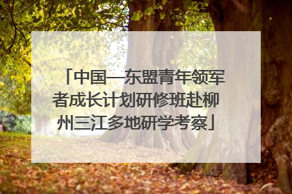 中国—东盟青年领军者成长计划研修班赴柳州三江多地研学考察