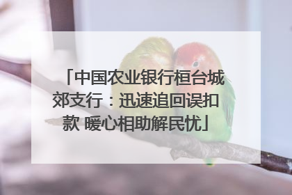 中国农业银行桓台城郊支行：迅速追回误扣款 暖心相助解民忧