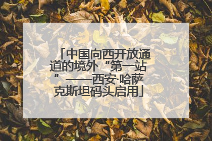 中国向西开放通道的境外“第一站”——西安·哈萨克斯坦码头启用