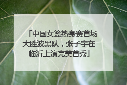 中国女篮热身赛首场大胜波黑队，张子宇在临沂上演完美首秀