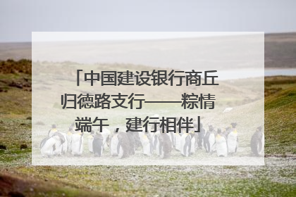 中国建设银行商丘归德路支行——粽情端午，建行相伴