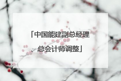 中国能建副总经理、总会计师调整