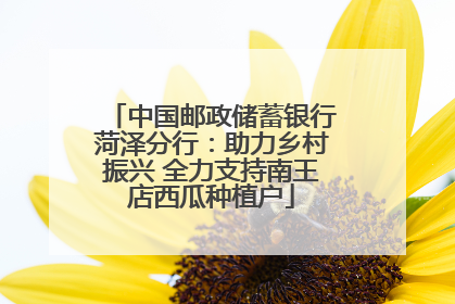 中国邮政储蓄银行菏泽分行：助力乡村振兴 全力支持南王店西瓜种植户