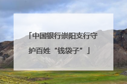中国银行崇阳支行守护百姓“钱袋子”