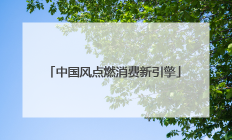 中国风点燃消费新引擎