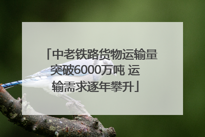 中老铁路货物运输量突破6000万吨 运输需求逐年攀升