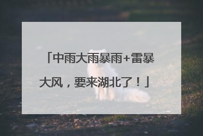 中雨大雨暴雨+雷暴大风，要来湖北了！