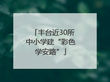 丰台近30所中小学建“彩色学安路”