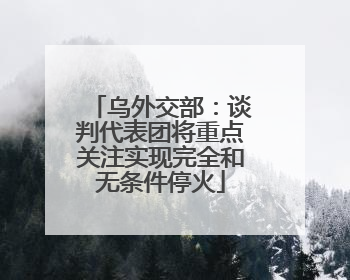 乌外交部：谈判代表团将重点关注实现完全和无条件停火