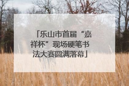 乐山市首届“嘉祥杯”现场硬笔书法大赛圆满落幕
