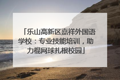 乐山高新区嘉祥外国语学校：专业技能培训，助力棍网球扎根校园