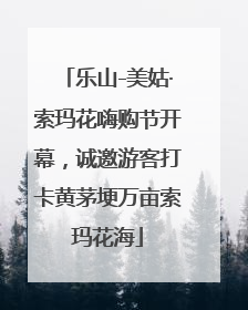 乐山-美姑·索玛花嗨购节开幕，诚邀游客打卡黄茅埂万亩索玛花海