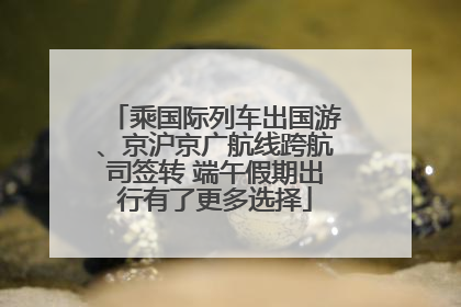 乘国际列车出国游、京沪京广航线跨航司签转 端午假期出行有了更多选择