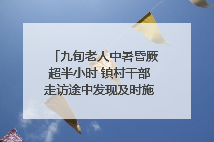 九旬老人中暑昏厥超半小时 镇村干部走访途中发现及时施救｜看见正能量