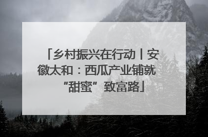 乡村振兴在行动丨安徽太和：西瓜产业铺就“甜蜜”致富路