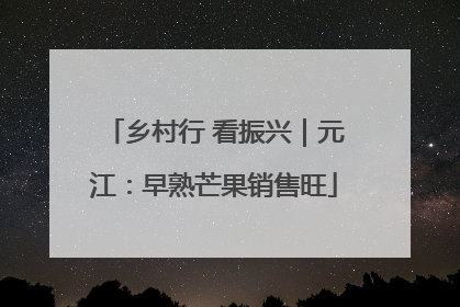 乡村行 看振兴｜元江：早熟芒果销售旺