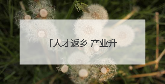 人才返乡 产业升级！李海务街道绘就乡村振兴新图景