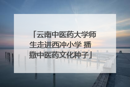 云南中医药大学师生走进西冲小学 播撒中医药文化种子